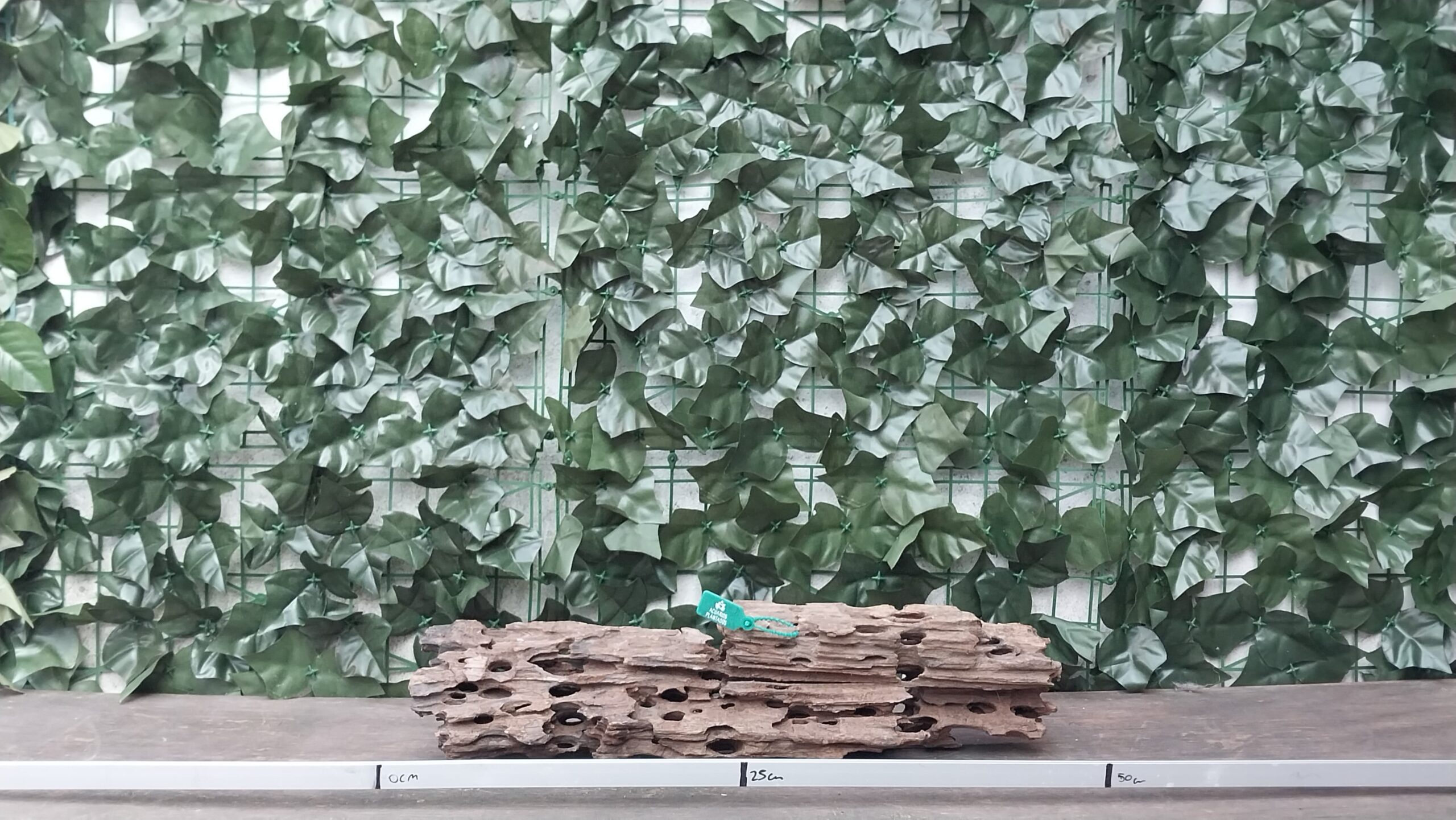 Dragon Wood x 1,43kg