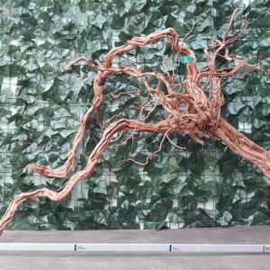 River Twisted ROOT x 2,81 kg