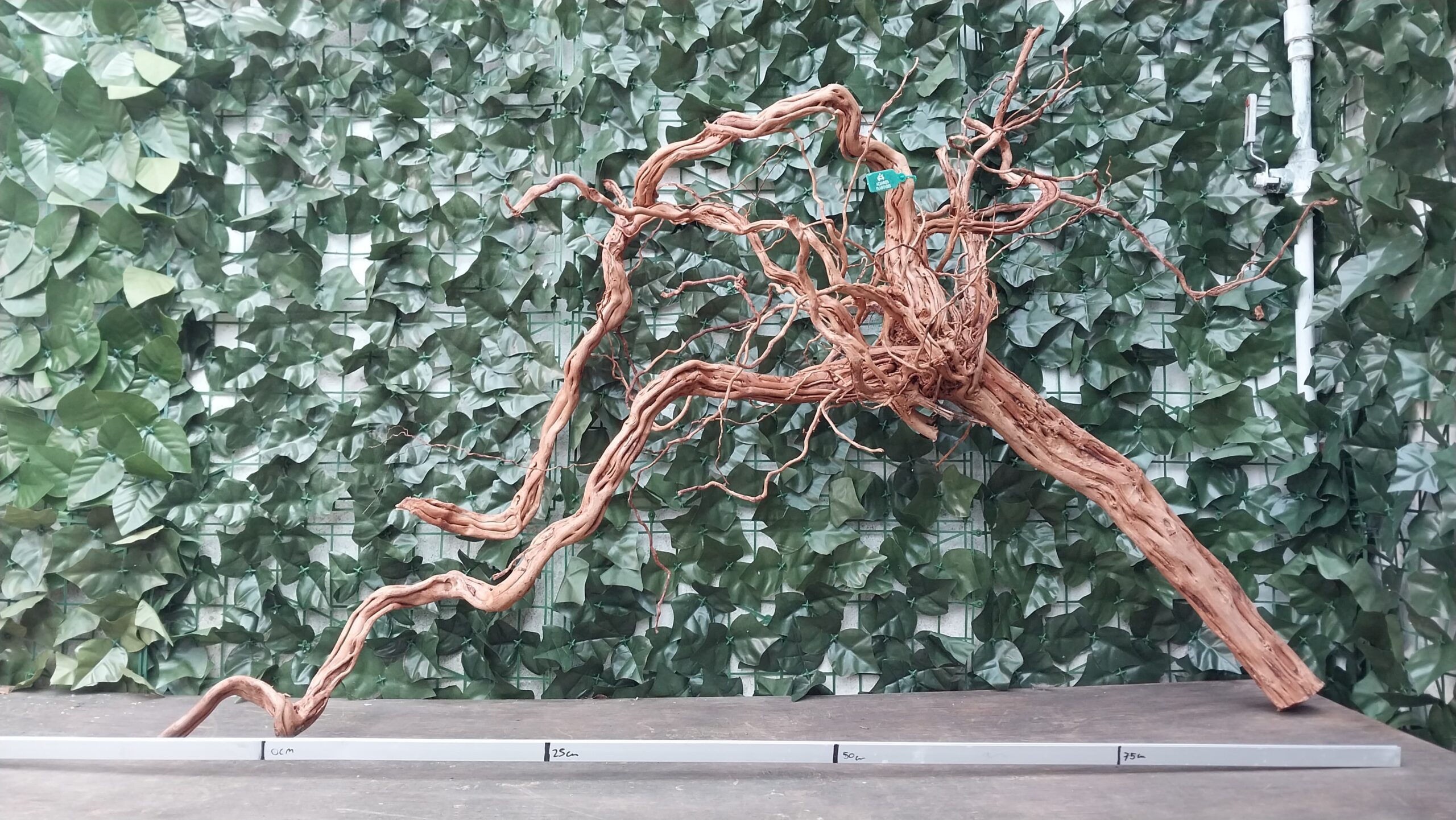 River Twisted ROOT x 2,81 kg