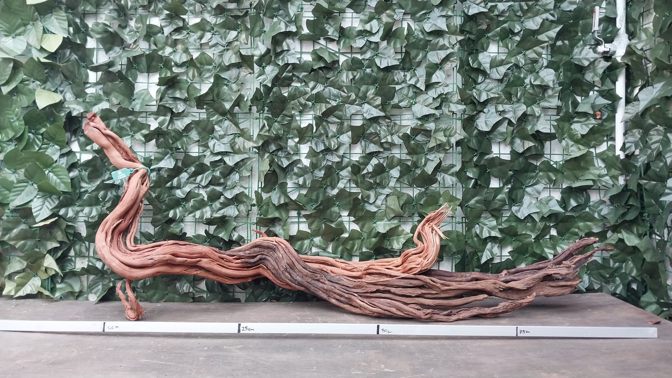 River Twisted ROOT x 2,55kg