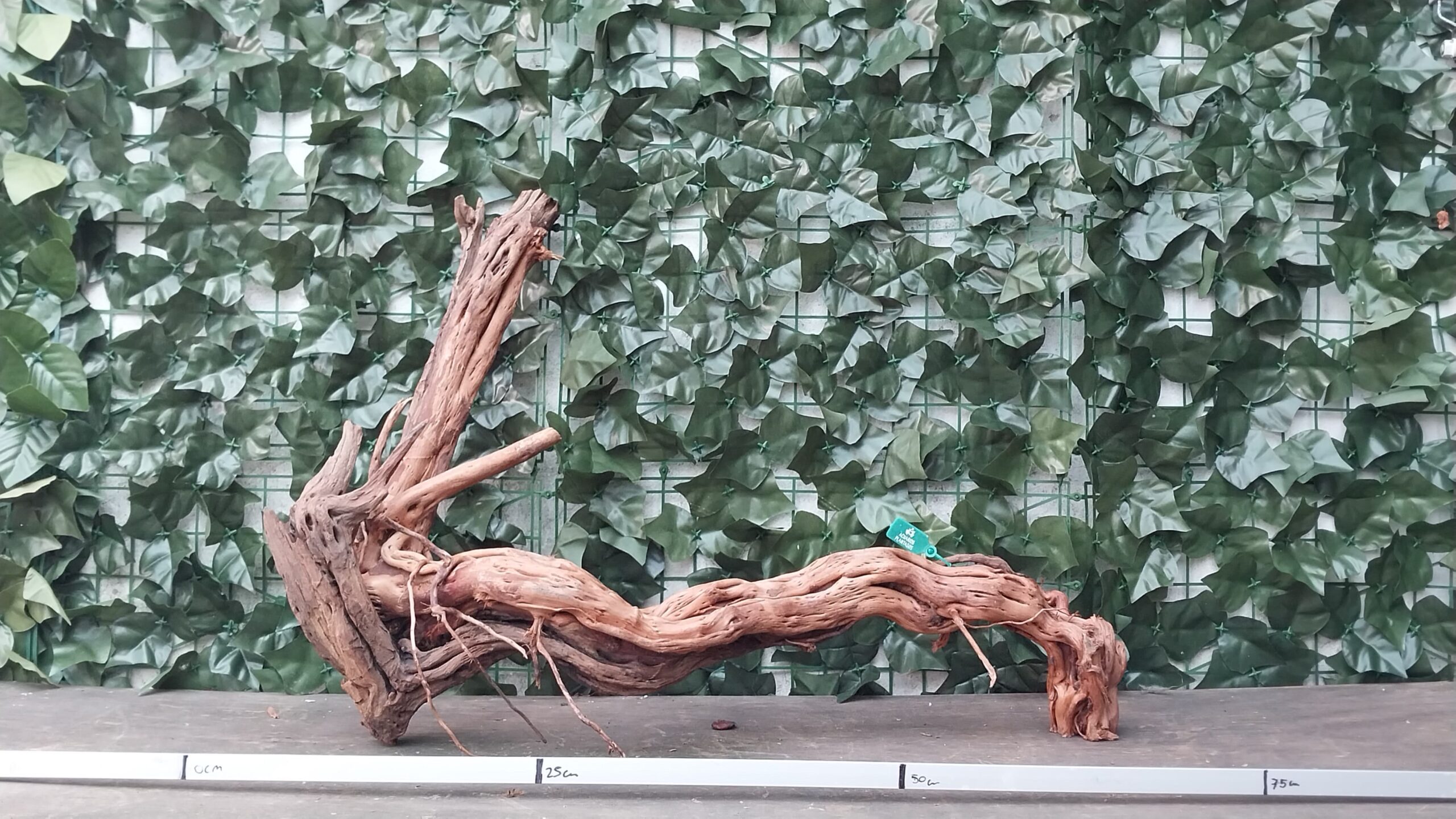 River Twisted ROOT x 2,45 kg