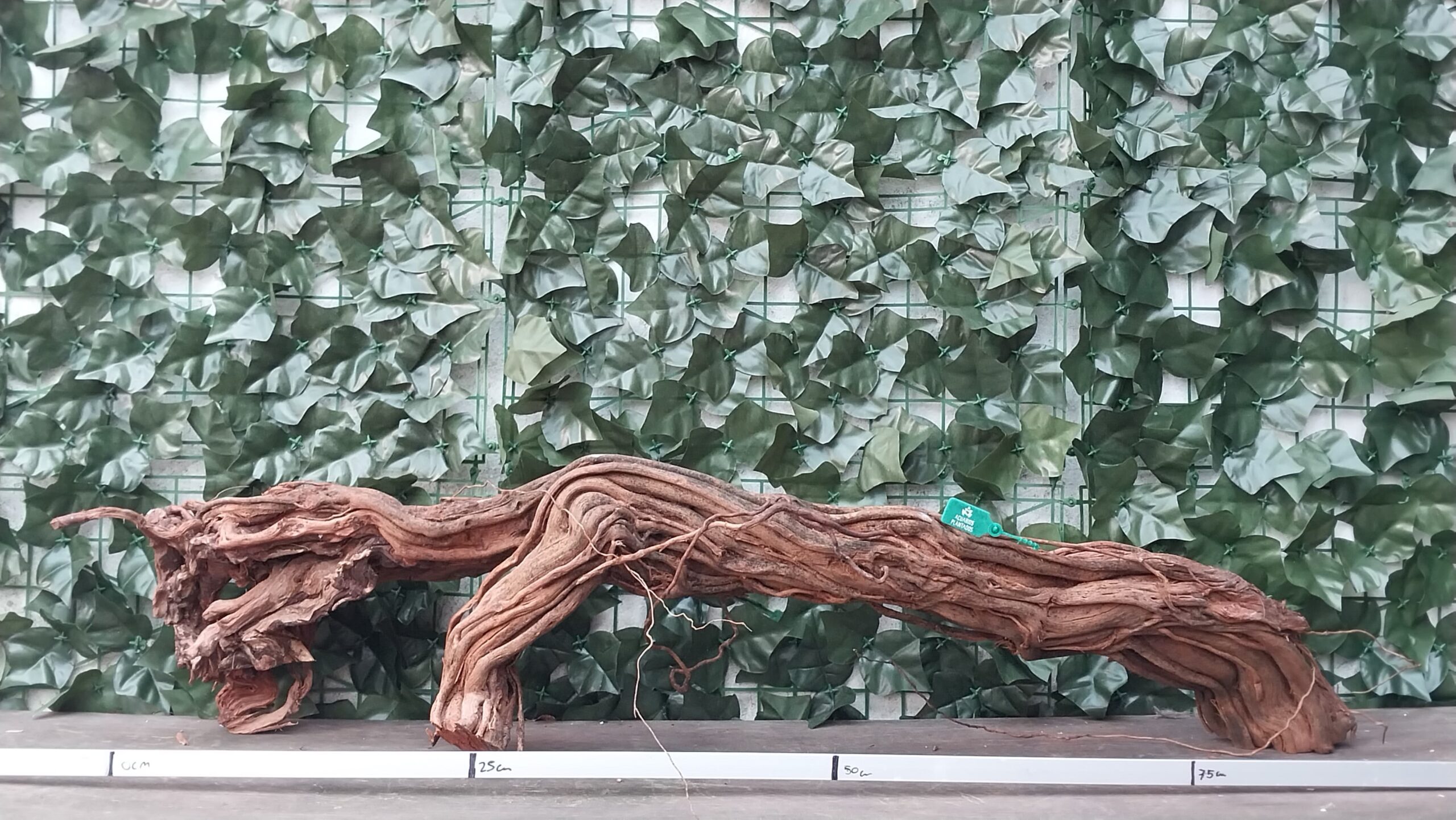 River Twisted ROOT x 3kg