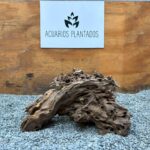 Dragon Wood x 1.139 kg