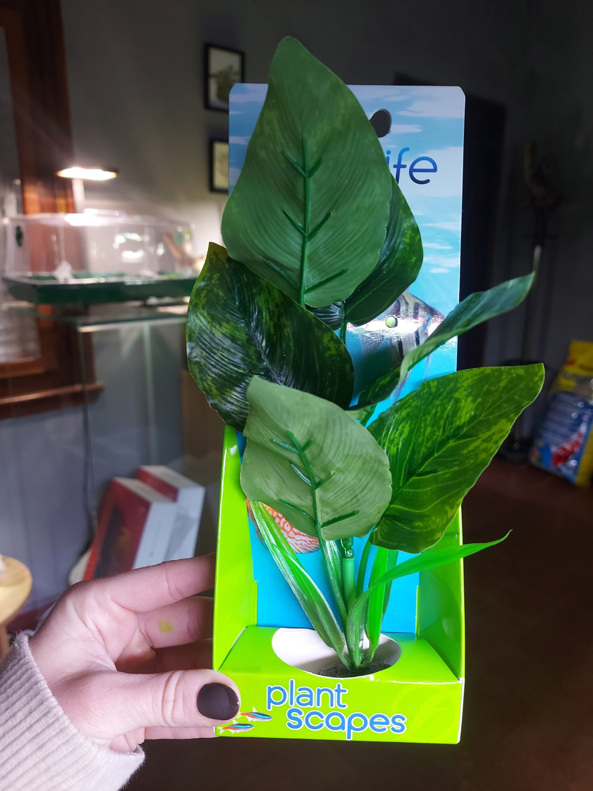 Imagen de WhatsApp 2025-07-01 a las 13.01.30_649e40a7