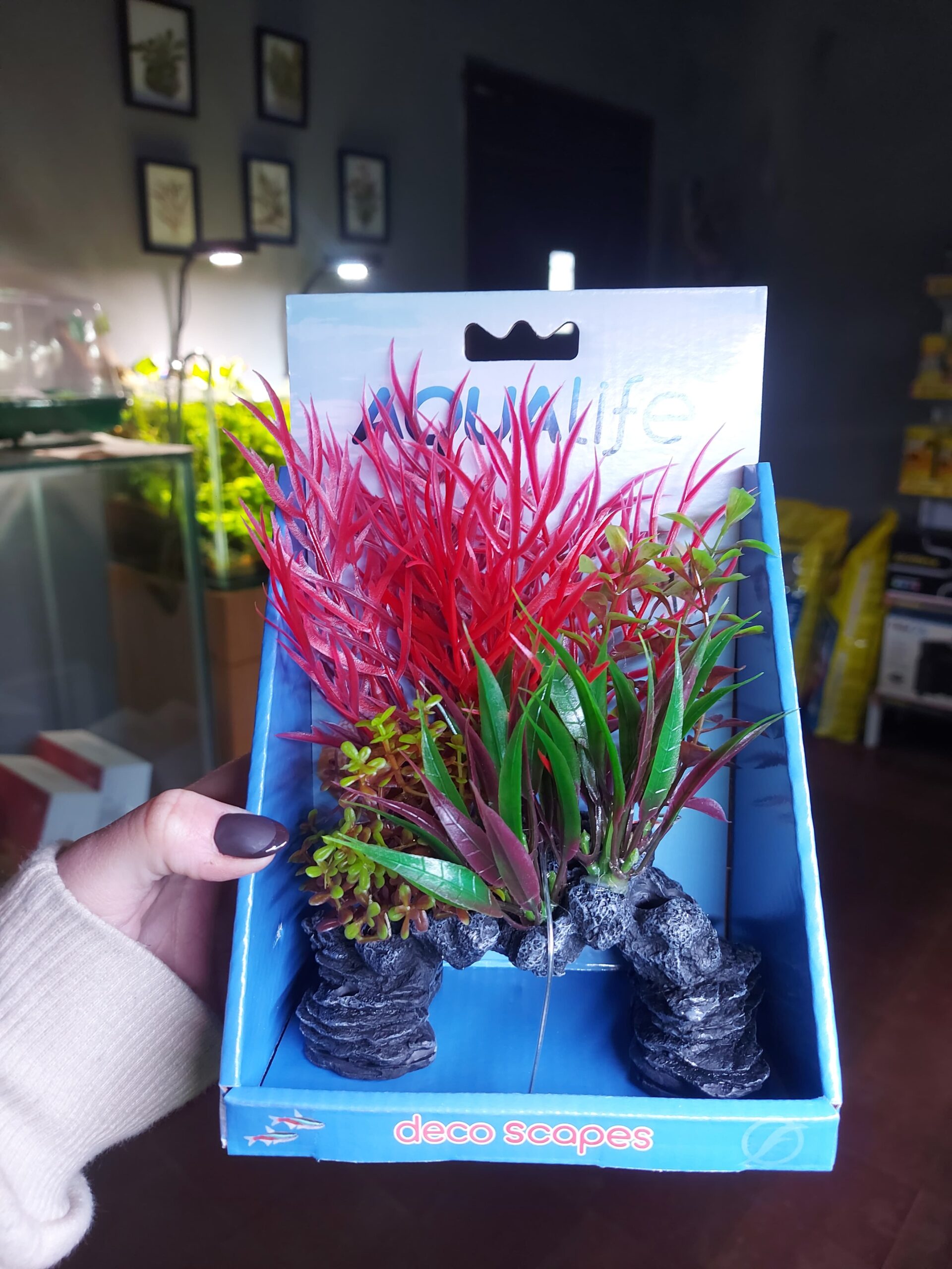 Imagen de WhatsApp 2025-07-01 a las 13.01.38_e5f31263