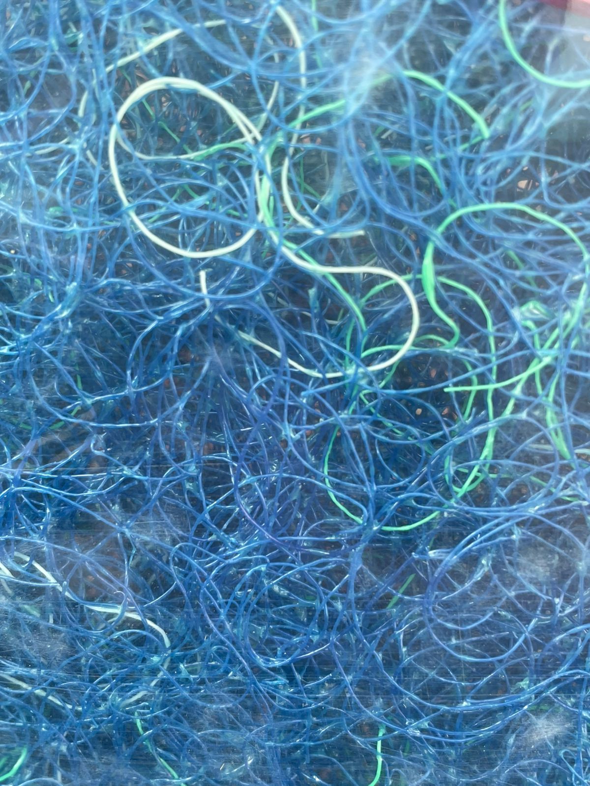 Imagen de WhatsApp 2025-07-19 a las 11.20.26_c600bf67