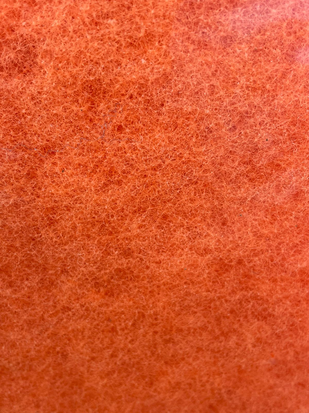 Imagen de WhatsApp 2025-07-19 a las 11.20.27_010eeb56