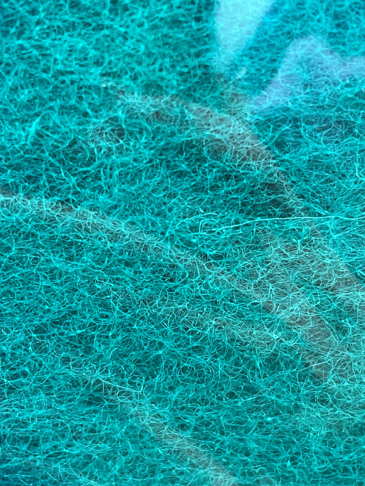 Imagen de WhatsApp 2025-07-19 a las 11.20.27_bb624ca5