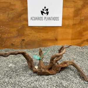 Raiz Azalea 1012 x 412g - Image 1