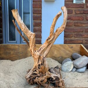 Raiz Azalea x 3.252 Kg