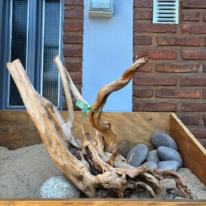 Raiz Azalea x 2.493 Kg