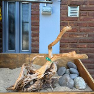 Raiz Azalea x 3.557 Kg