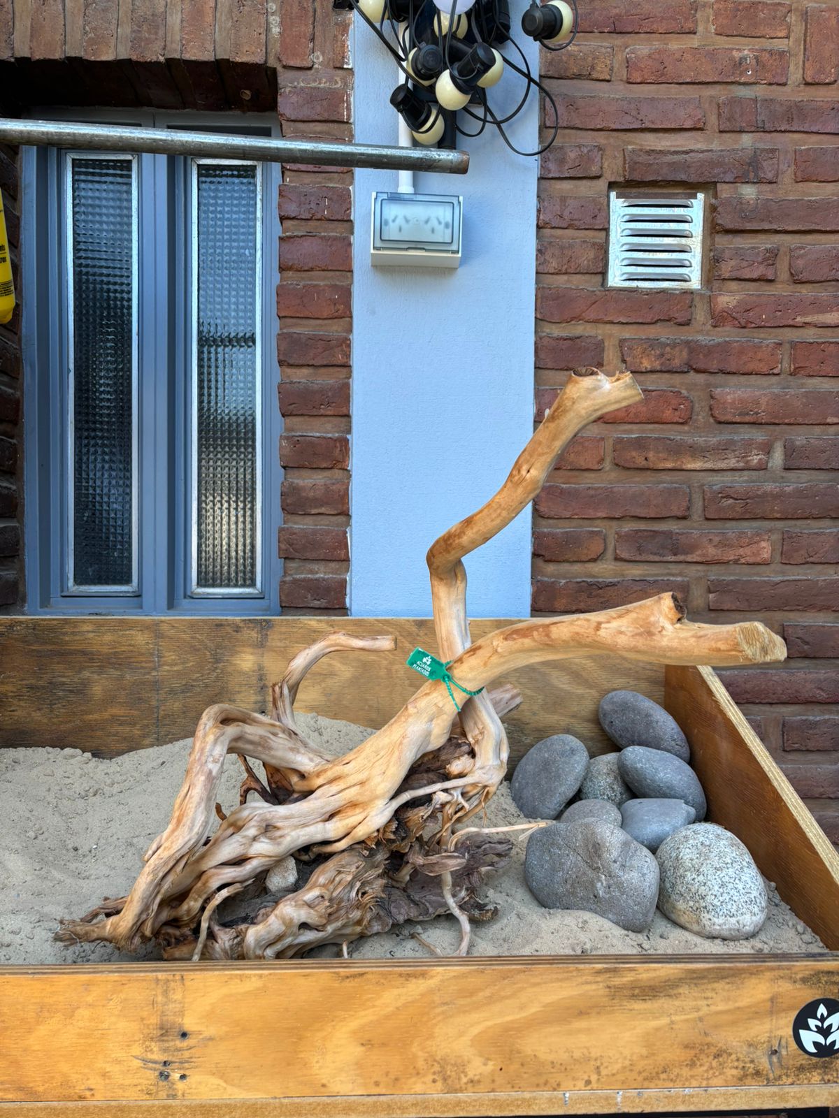 Raiz Azalea x 3.557 Kg