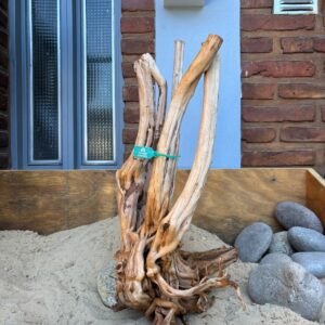 Raiz Azalea x 2.248 Kg