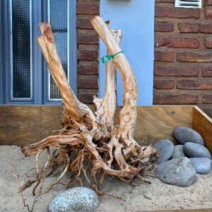 Raiz Azalea x 3.462 Kg