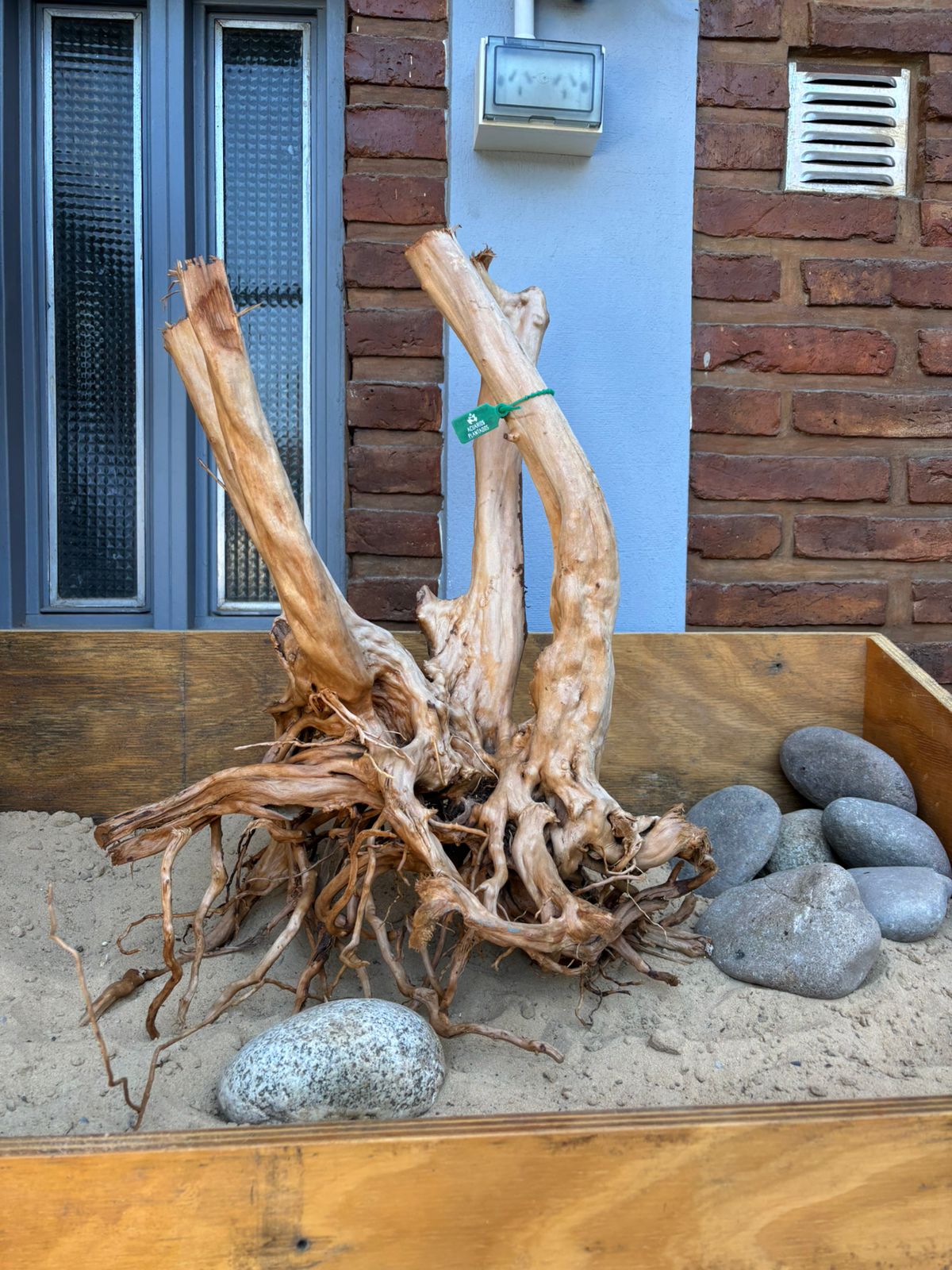 Raiz Azalea x 3.462 Kg