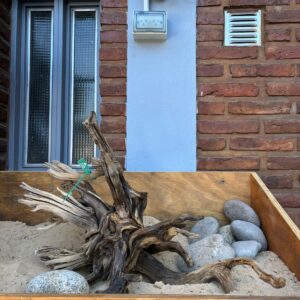 Raiz Jarilla Nacional L 1351