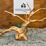 Raiz Azalea 1003 x 440 gr