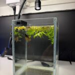 Luz LED Cálida con Foco y Ángulo con clip