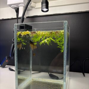 Luz Cálida con Foco y Ángulo