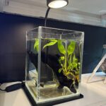 Luz Led USB con base