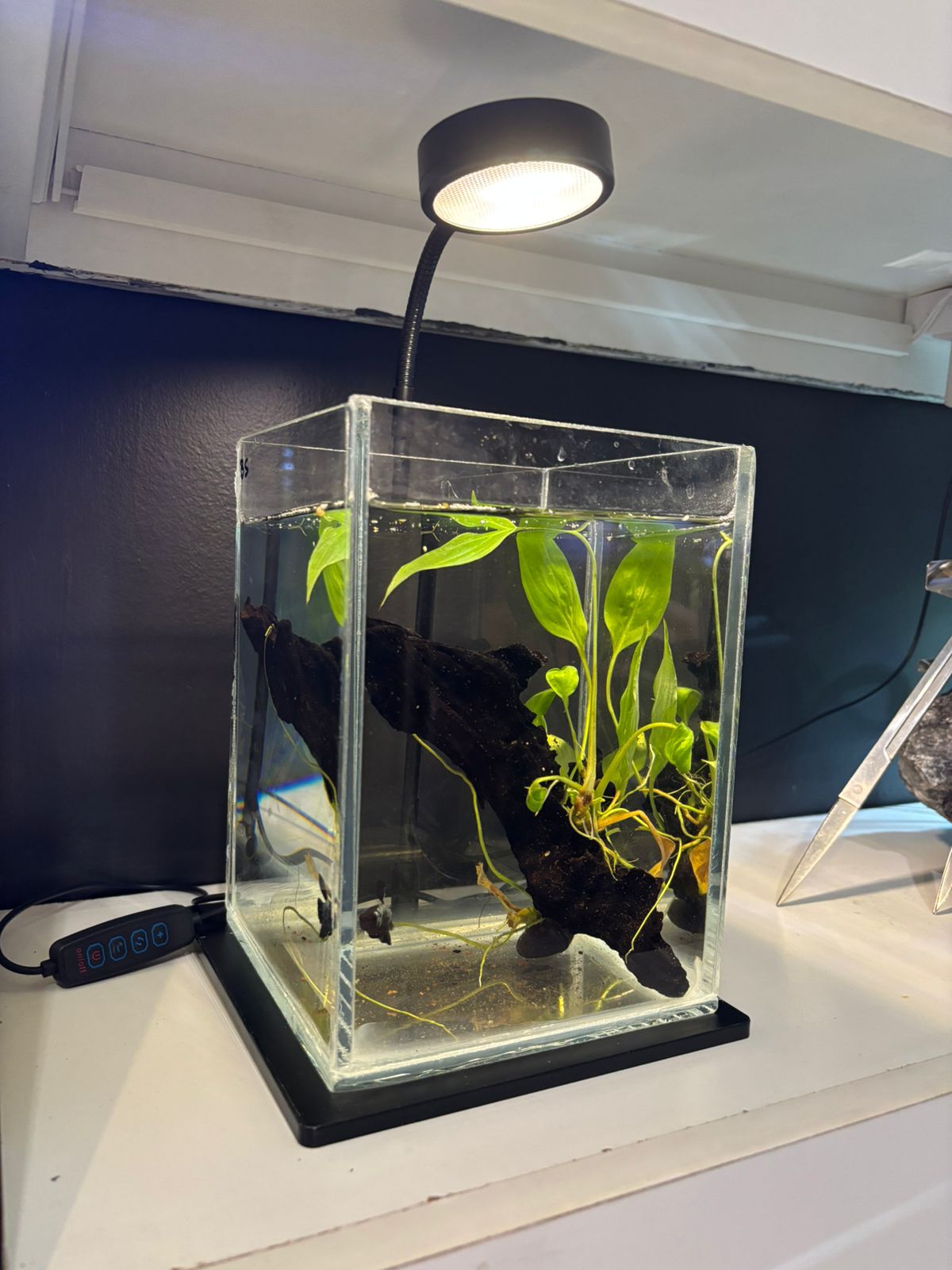 luz led usb con base