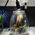 Luz LED Con Ángulo Regulable y Clip