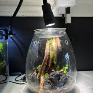 Luz Con Ángulo Regulable