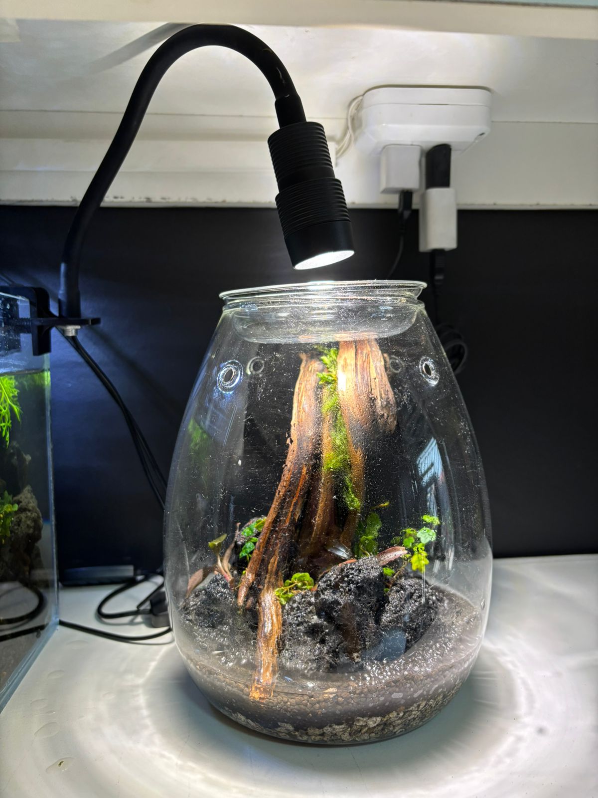 Luz Con Ángulo Regulable