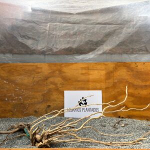 Raiz Jarilla Nacional XL 1002