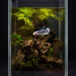 Kit Betta Plakat Marble