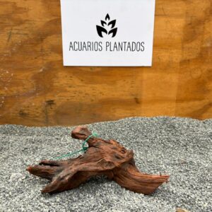 Red Drift Wood 1002 x 712gr