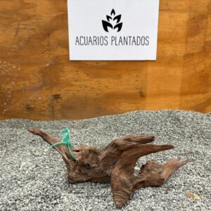 Red Drift Wood 1004 x 514gr