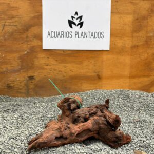 Red Drift Wood 1005 x 640gr