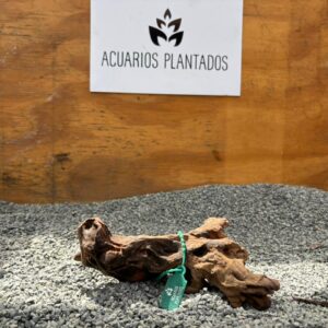 Black Forest Spiderwood 1003 x 240g