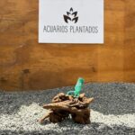 Black Forest Spiderwood 1005 x 118g