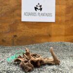 Black Forest Spiderwood 1006 x 198g