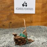 Black Forest Spiderwood 1008 x 128g