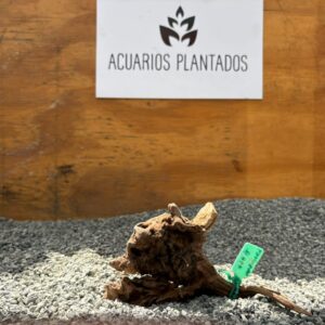 Black Forest Spiderwood 1009 x 116g