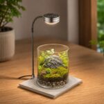 Lampara con base acrilica USB – CRAB AQUA