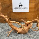 Raiz Azalea 1029 X 1.720 kg