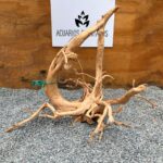 Raiz Azalea 1052 x 1.297 kg